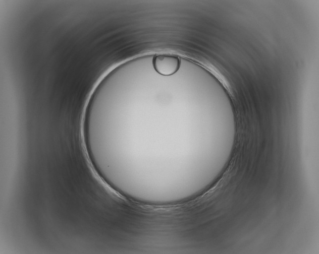 X0000111821084200908201126