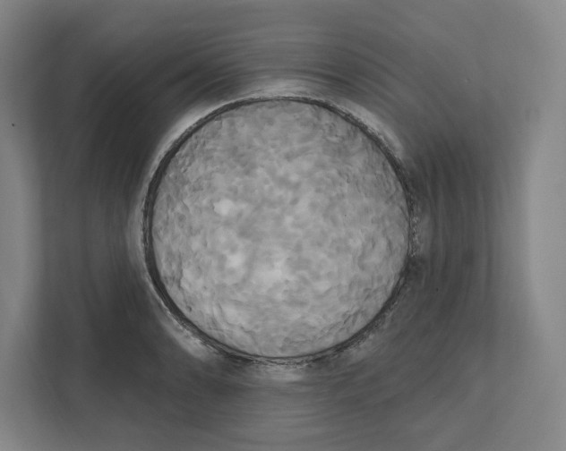 X0000111821086200908201126