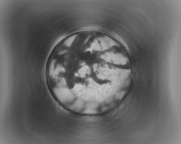X0000111821087200908201126