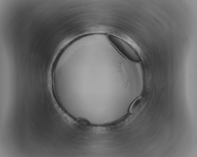 X0000111821088200908201126