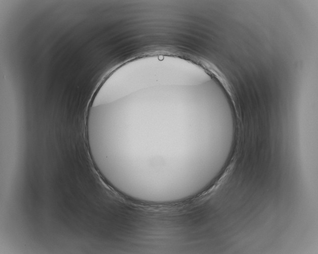 X0000111821089200908201126