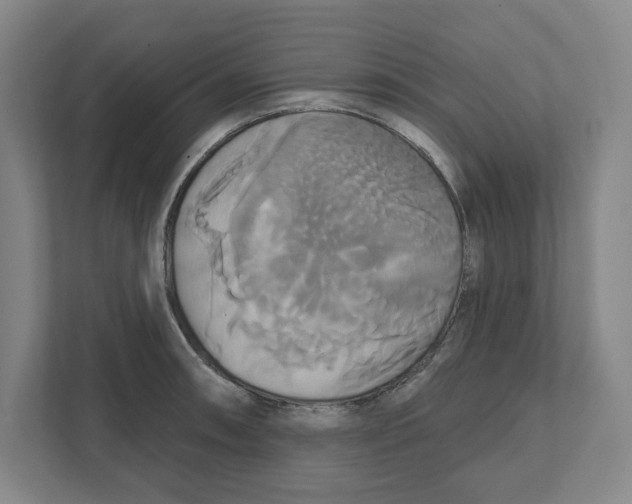 X0000111821090200908201126