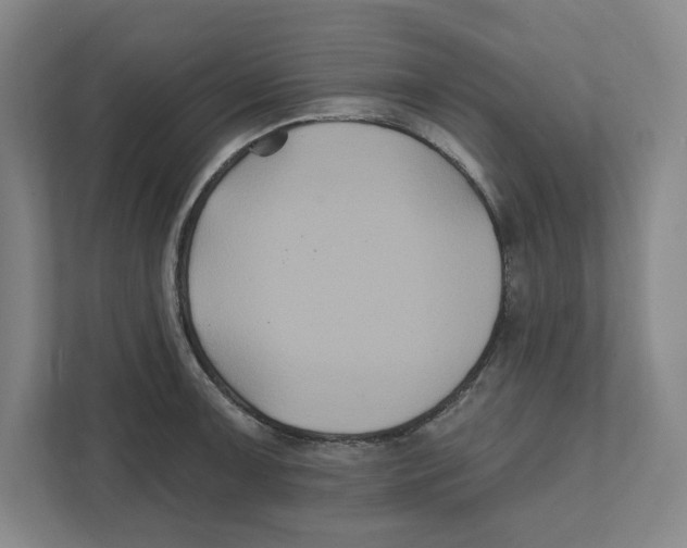 X0000111821091200908201126