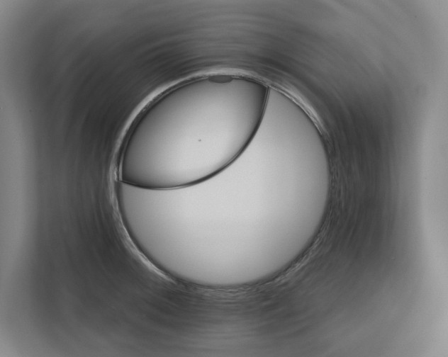 X0000111821092200908201126