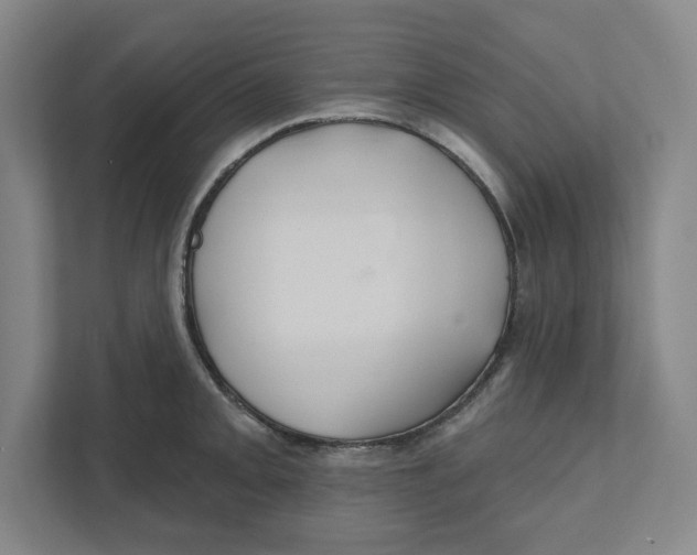 X0000111821093200908201126