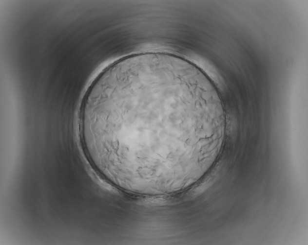 X0000111821094200908201126