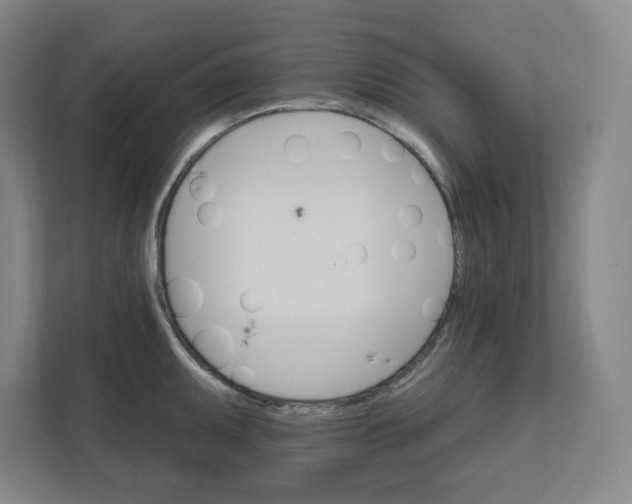 X0000111821095200908201126