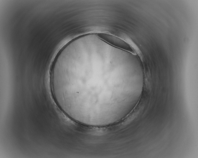 X0000111821096200908201126