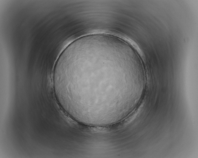 X0000111821097200908201126