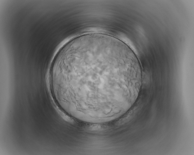 X0000111821098200908201126