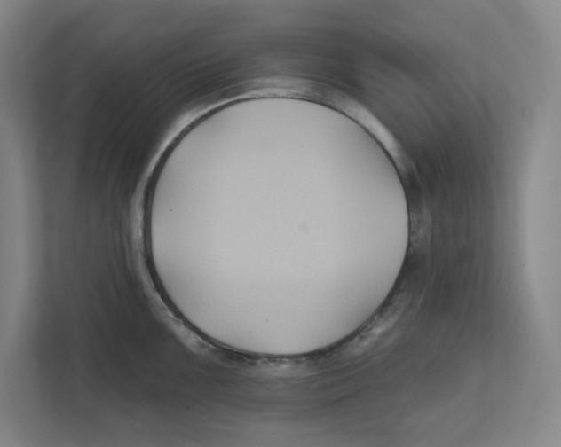 X0000111821099200908201126