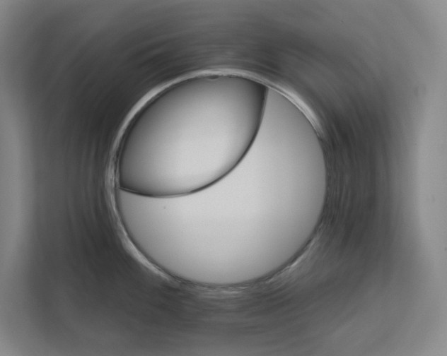 X0000111821100200908201126