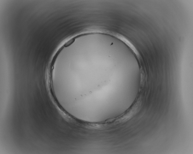 X0000111821101200908201126