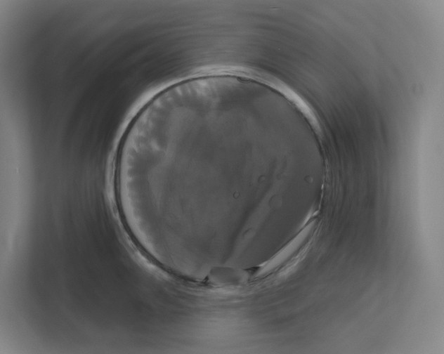 X0000111821102200908201125