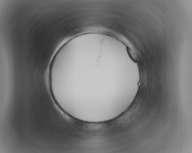 X0000111821103200908201125