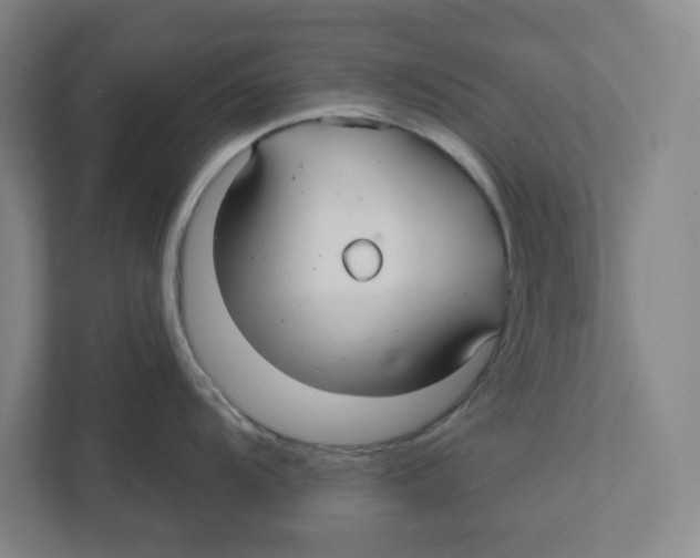 X0000111821104200908201125