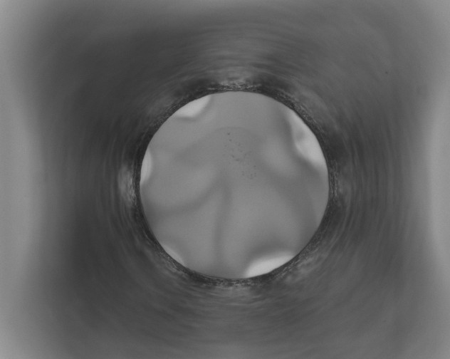 X0000111821106200908201125
