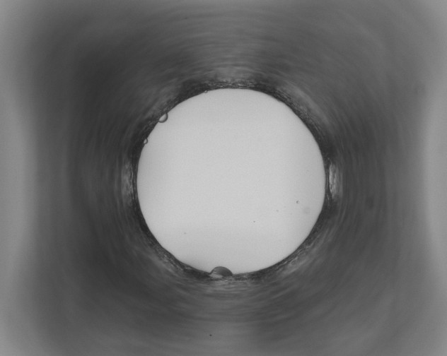 X0000111821107200908201125