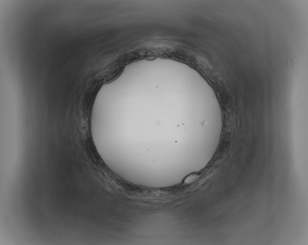 X0000111821109200908201125