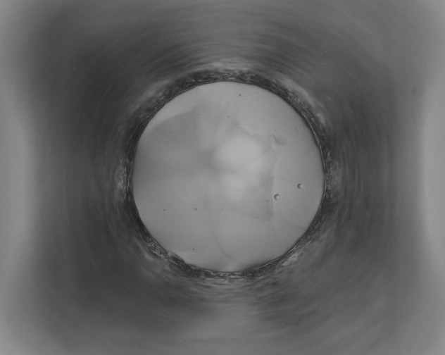 X0000111821110200908201125