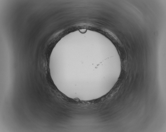 X0000111821111200908201125