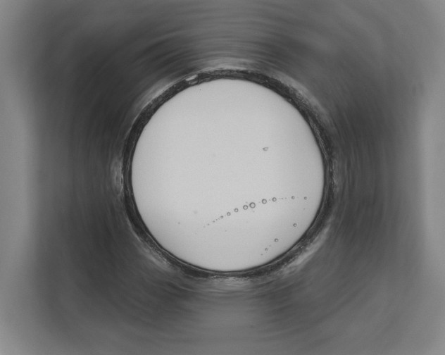 X0000111821113200908201125
