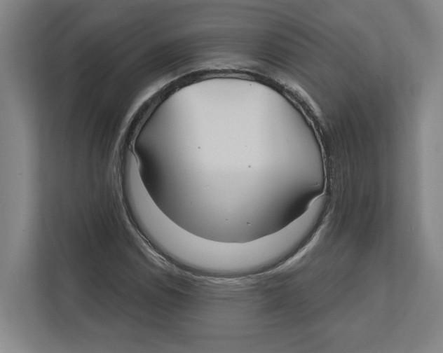 X0000111821114200908201125