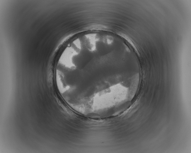 X0000111821115200908201125