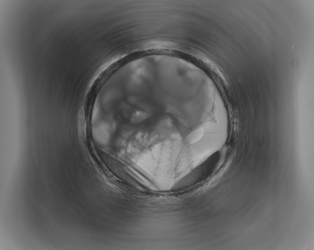 X0000111821117200908201125