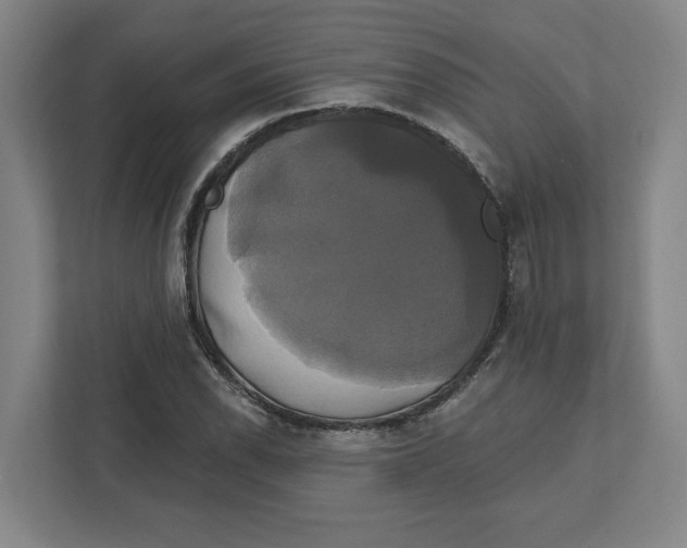 X0000111821118200908201125