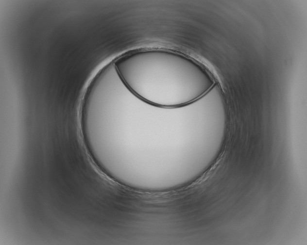 X0000111821120200908201125