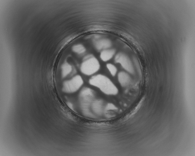 X0000111821121200908201125