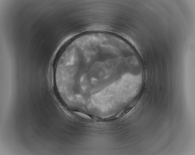 X0000111821123200908201125