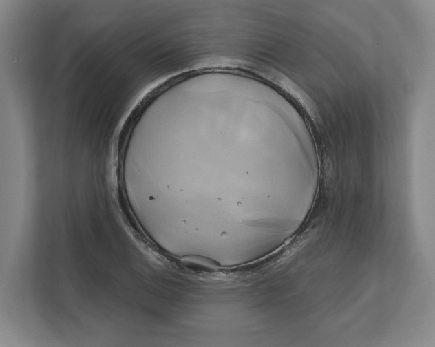 X0000111821124200908201125