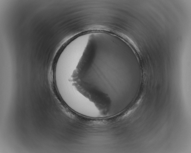 X0000111821125200908201125