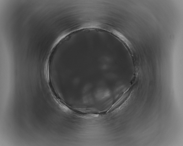 X0000111821127200908201125