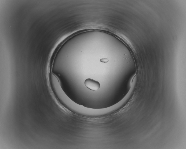 X0000111821128200908201125
