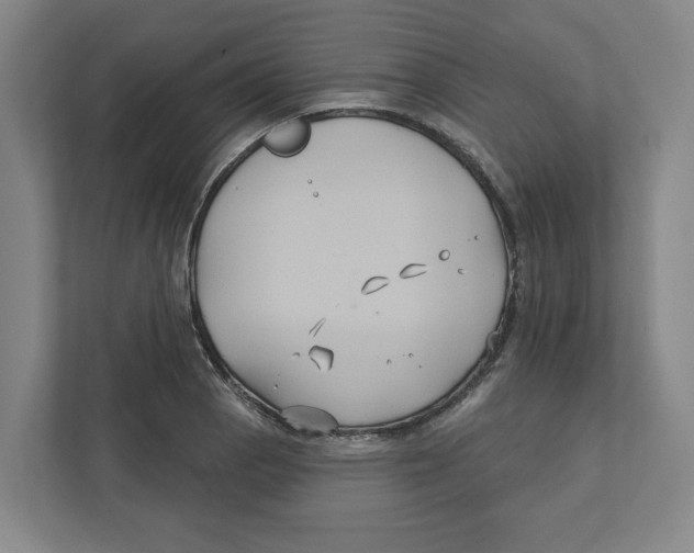 X0000111821129200908201125