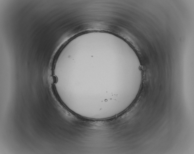 X0000111821130200908201125