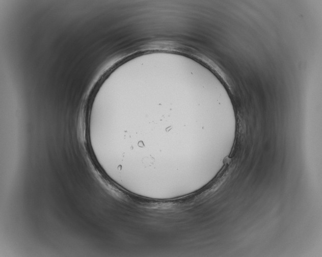 X0000111821131200908201125