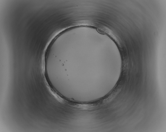 X0000111821132200908201125