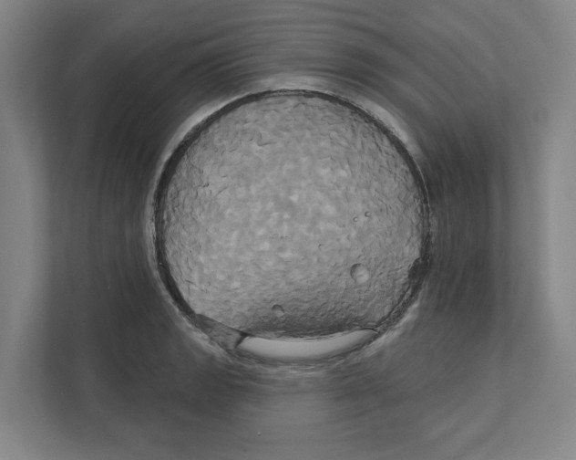 X0000111821133200908201125