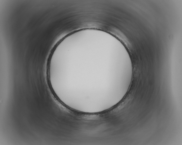 X0000111821135200908201125