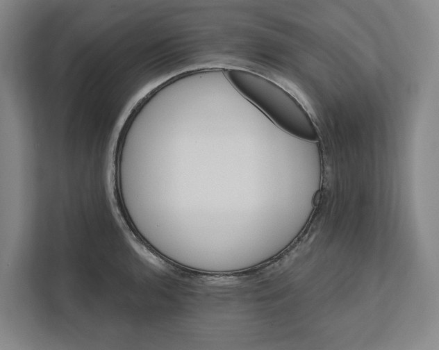 X0000111821136200908201125