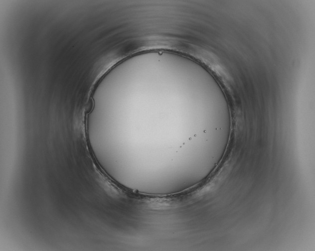 X0000111821137200908201125