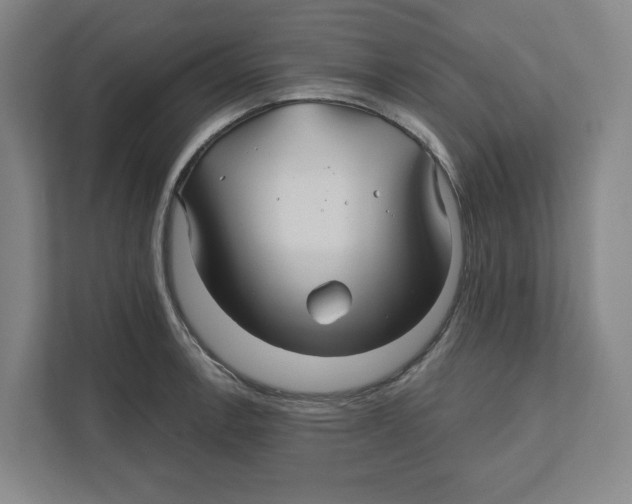 X0000111821138200908201125