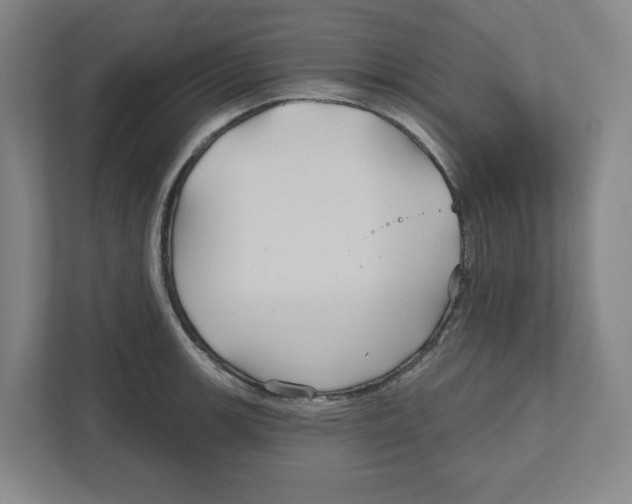 X0000111821139200908201125
