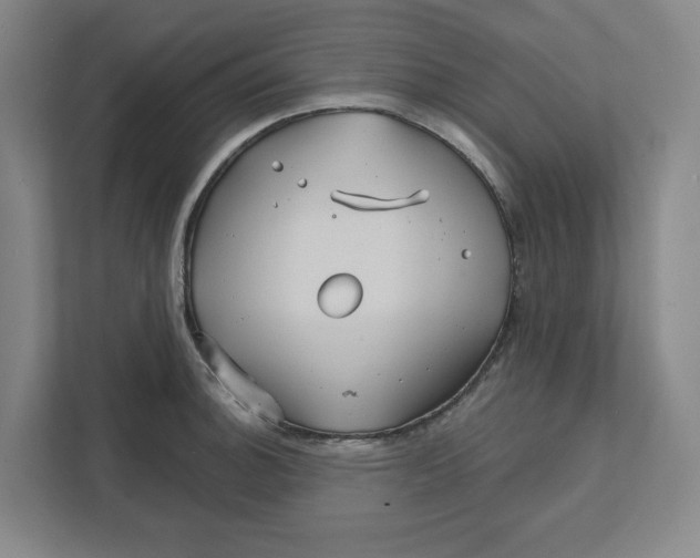 X0000111821140200908201125