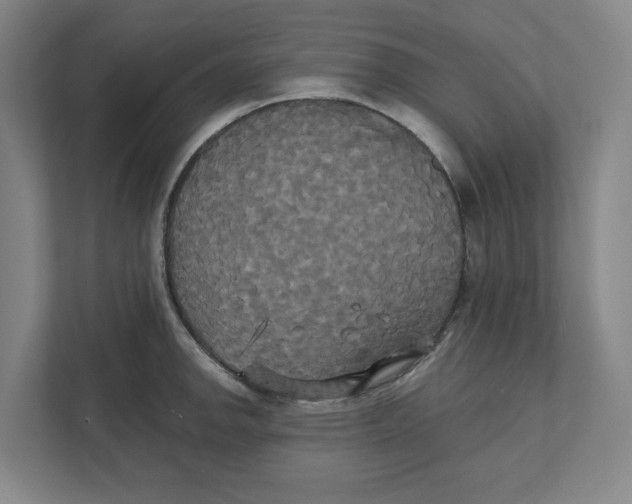 X0000111821142200908201125