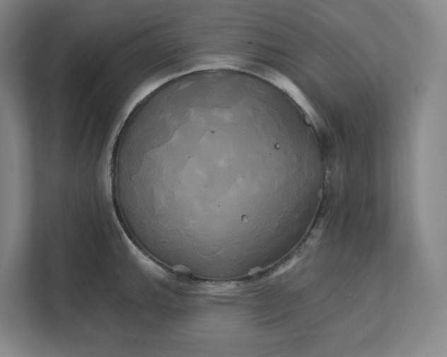 X0000111821143200908201125